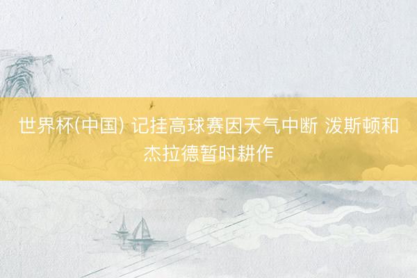 世界杯(中国) 记挂高球赛因天气中断 泼斯顿和杰拉德暂时耕作