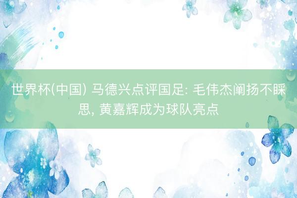 世界杯(中国) 马德兴点评国足: 毛伟杰阐扬不睬思， 黄嘉辉成为球队亮点