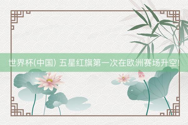 世界杯(中国) 五星红旗第一次在欧洲赛场升空!