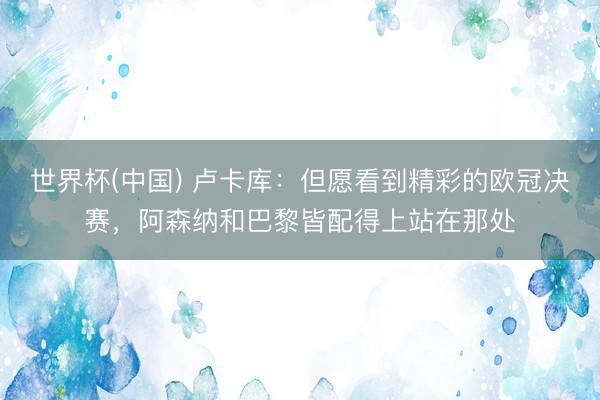 世界杯(中国) 卢卡库：但愿看到精彩的欧冠决赛，阿森纳和巴黎皆配得上站在那处