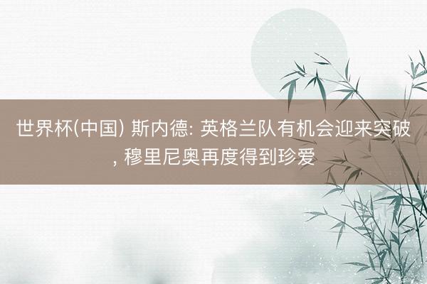 世界杯(中国) 斯内德: 英格兰队有机会迎来突破, 穆里尼奥再度得到珍爱