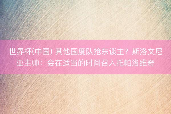 世界杯(中国) 其他国度队抢东谈主?斯洛文尼亚主帅:会在适当的时间召入托帕洛维奇