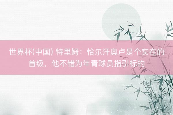 世界杯(中国) 特里姆：恰尔汗奥卢是个实在的首级，他不错为年青球员指引标的