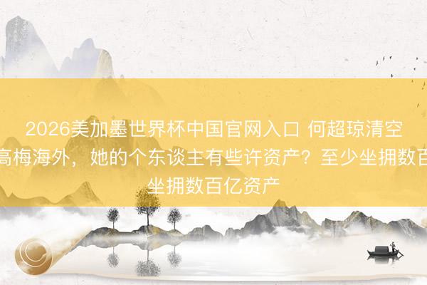 2026美加墨世界杯中国官网入口 何超琼清空好意思高梅海外，她的个东谈主有些许资产？至少坐拥数百亿资产
