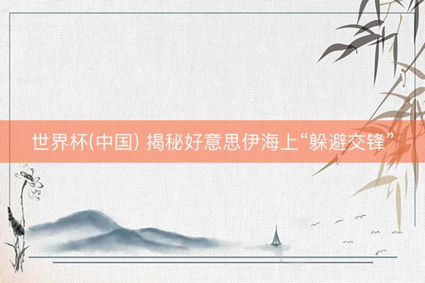 世界杯(中国) 揭秘好意思伊海上“躲避交锋”