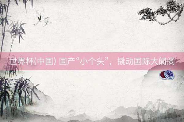 世界杯(中国) 国产“小个头”，撬动国际大阛阓