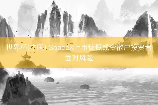世界杯(中国) SpaceX上市慷慨或令散户投资者面对风险