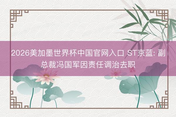 2026美加墨世界杯中国官网入口 ST京蓝: 副总裁冯国军因责任调治去职