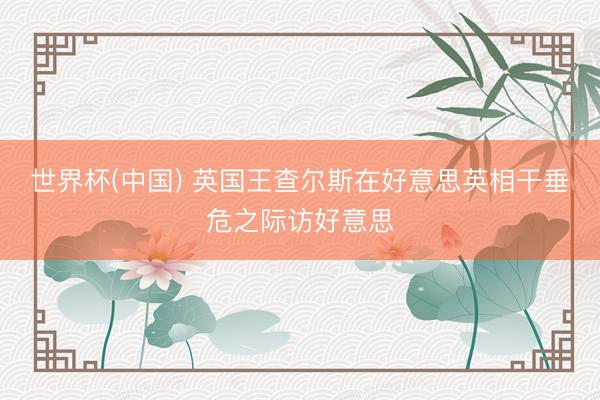 世界杯(中国) 英国王查尔斯在好意思英相干垂危之际访好意思