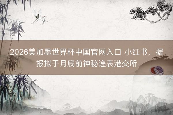 2026美加墨世界杯中国官网入口 小红书，据报拟于月底前神秘递表港交所