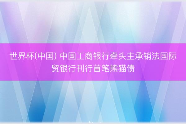 世界杯(中国) 中国工商银行牵头主承销法国际贸银行刊行首笔熊猫债