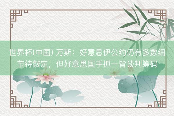 世界杯(中国) 万斯：好意思伊公约仍有多数细节待敲定，但好意思国手抓一皆谈判筹码