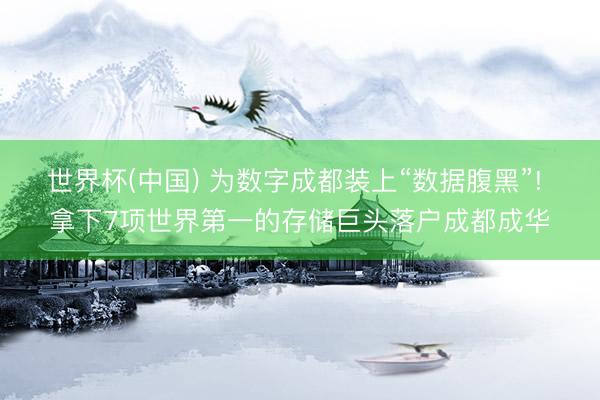 世界杯(中国) 为数字成都装上“数据腹黑”! 拿下7项世界第一的存储巨头落户成都成华