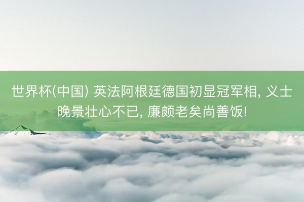 世界杯(中国) 英法阿根廷德国初显冠军相， 义士晚景壮心不已， 廉颇老矣尚善饭!